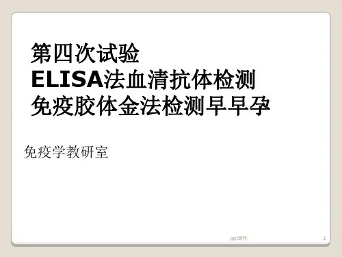 ELISA检测抗体ppt课件