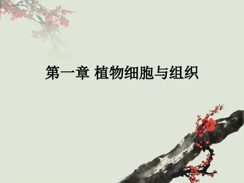 景观植物观赏v知识课件知识讲稿