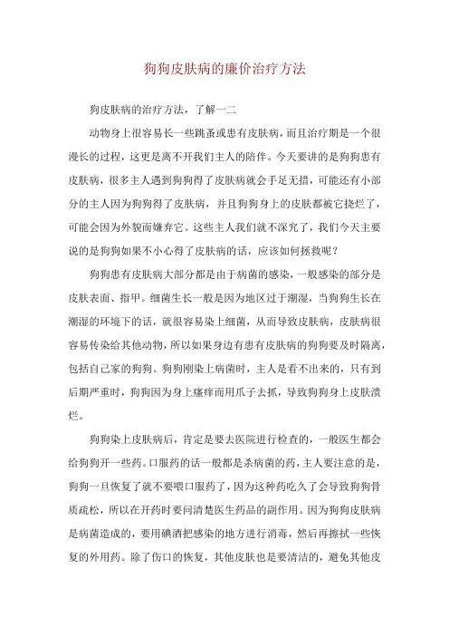 狗狗皮肤病的廉价治疗方法