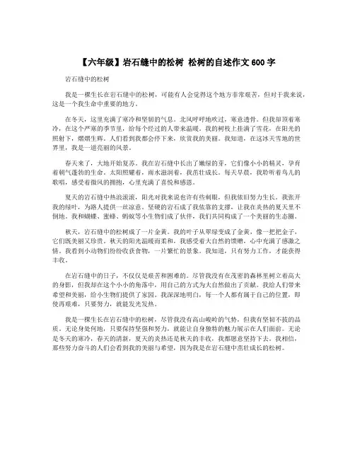 【六年级】岩石缝中的松树 松树的自述作文600字