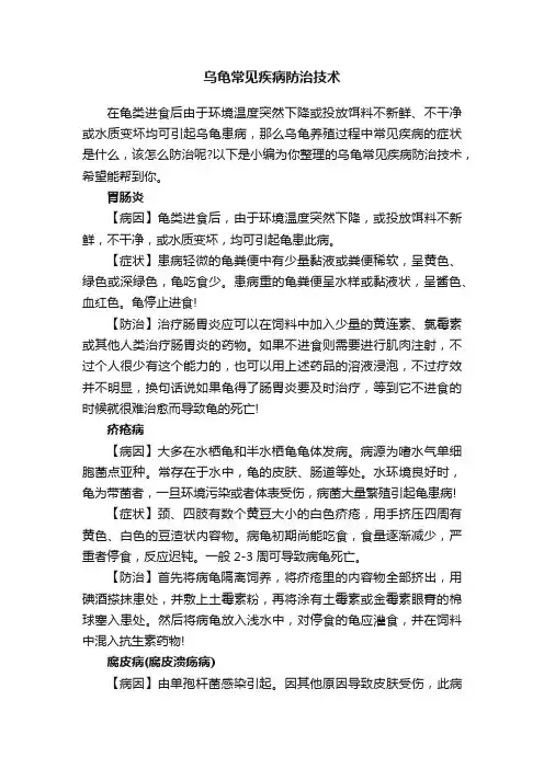 乌龟常见疾病防治技术