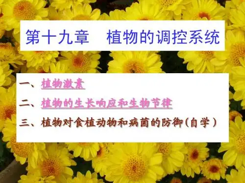 第十九章 植物的调控系统