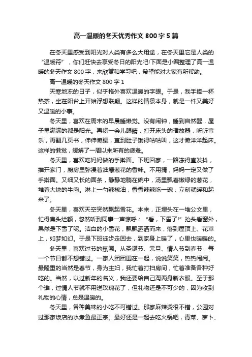 高一温暖的冬天优秀作文800字5篇