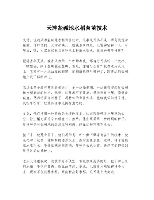 天津盐碱地水稻育苗技术