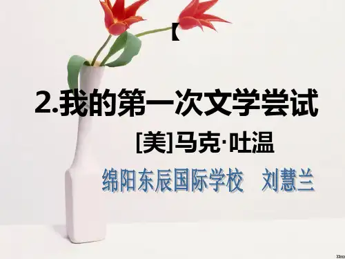 我的第一次文学尝试课件