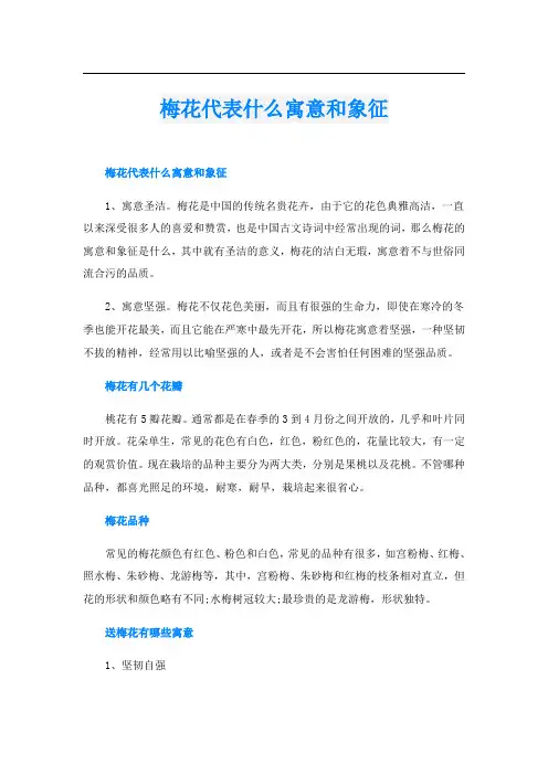 梅花代表什么寓意和象征