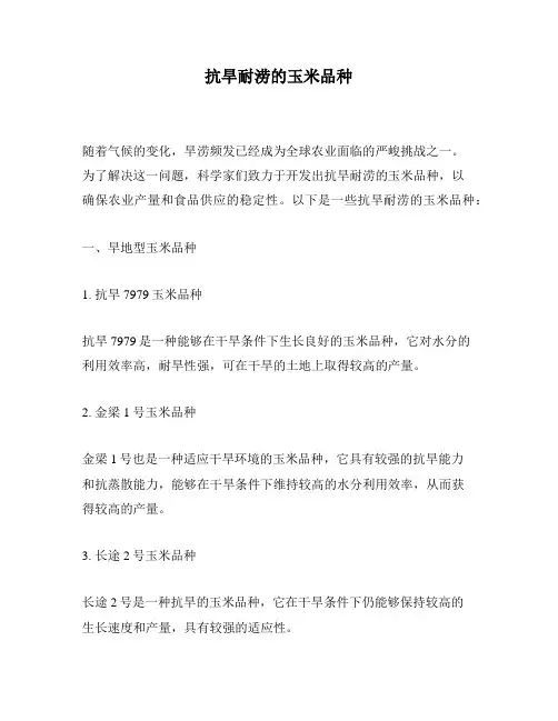 抗旱耐涝的玉米品种