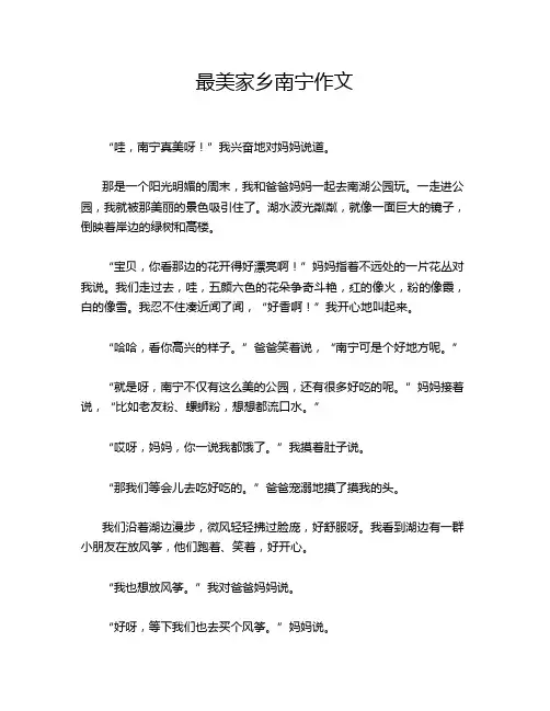 最美家乡南宁作文