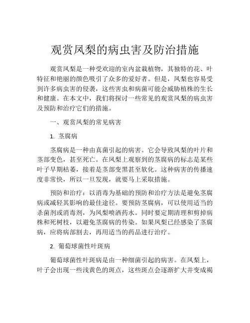 观赏凤梨的病虫害及防治措施