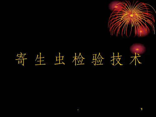 寄生虫检验4-吸虫纲ppt课件