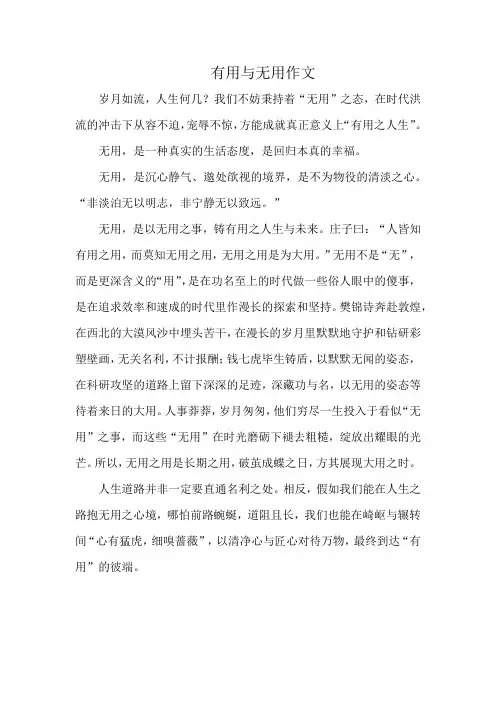 有用与无用作文
