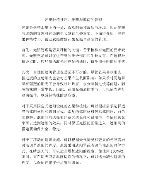 芒果种植技巧：光照与遮荫的管理
