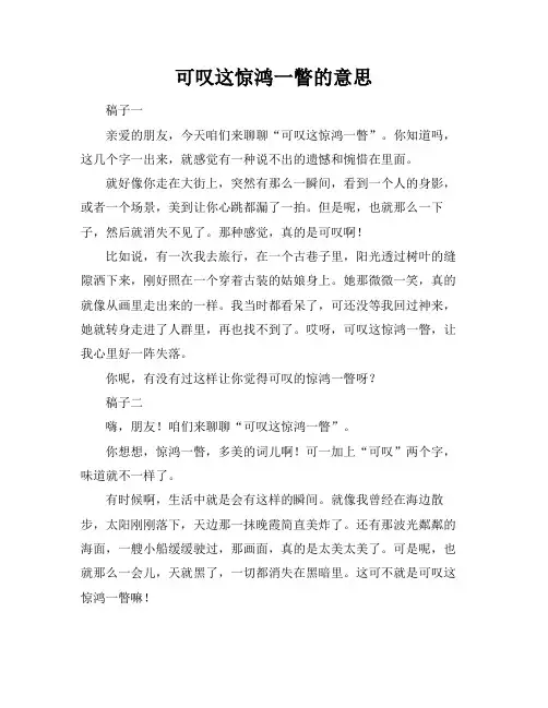 可叹这惊鸿一瞥的意思