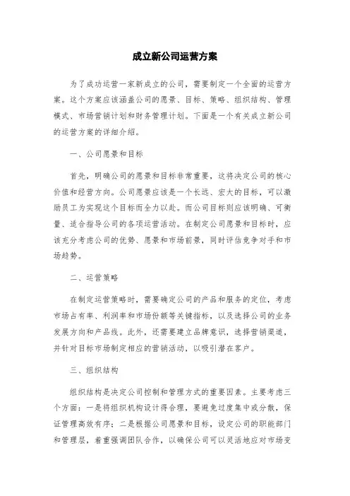 成立新公司运营方案