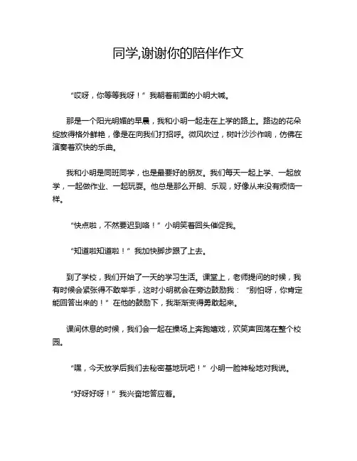 同学,谢谢你的陪伴作文