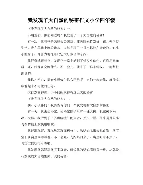 我发现了大自然的秘密作文小学四年级
