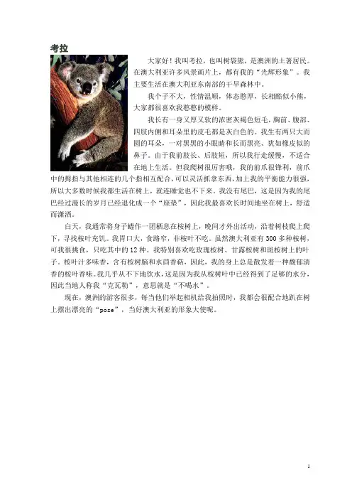 动物自我介绍(考拉)