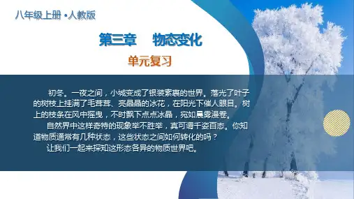 第三章物态变化(单元复习课件)八年级物理上册(人教版2024)
