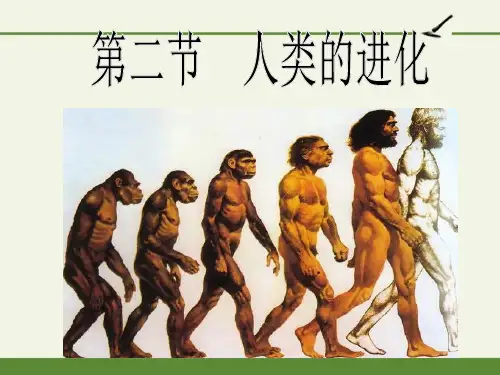 人类的进化-完整版PPT课件