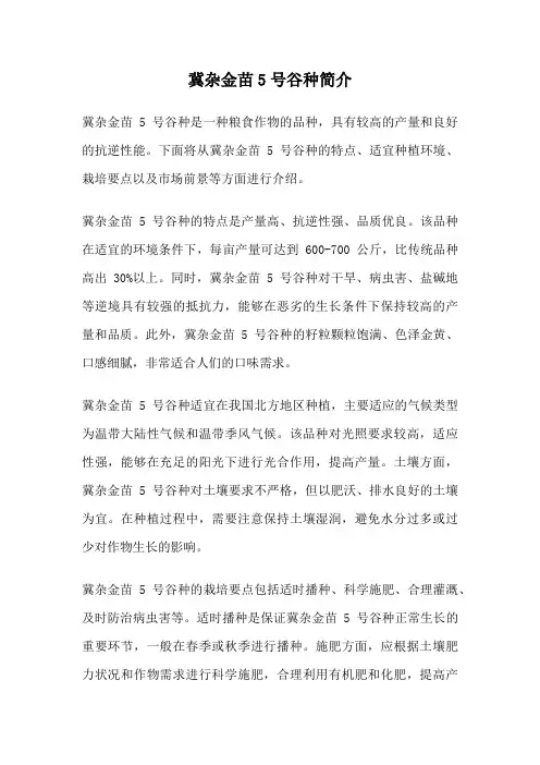 冀杂金苗5号谷种简介