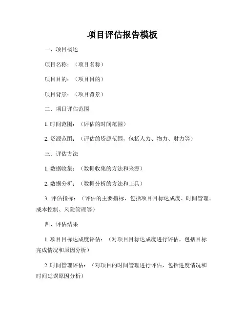 项目评估报告模板