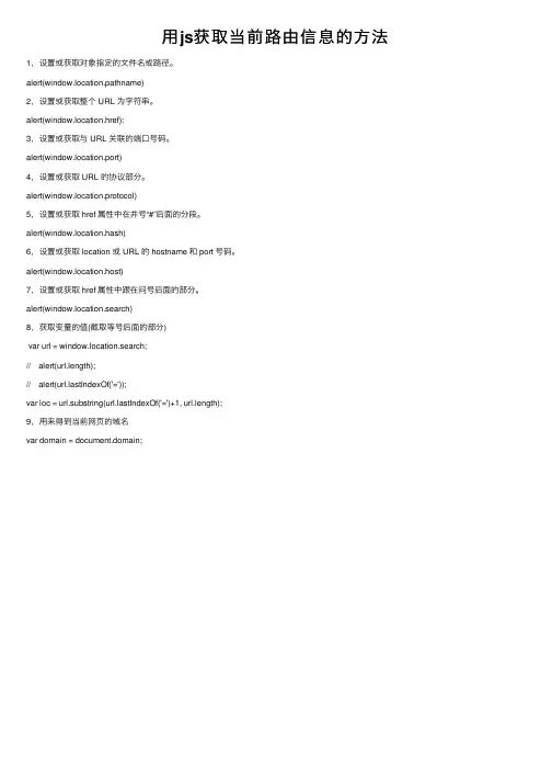 用js获取当前路由信息的方法