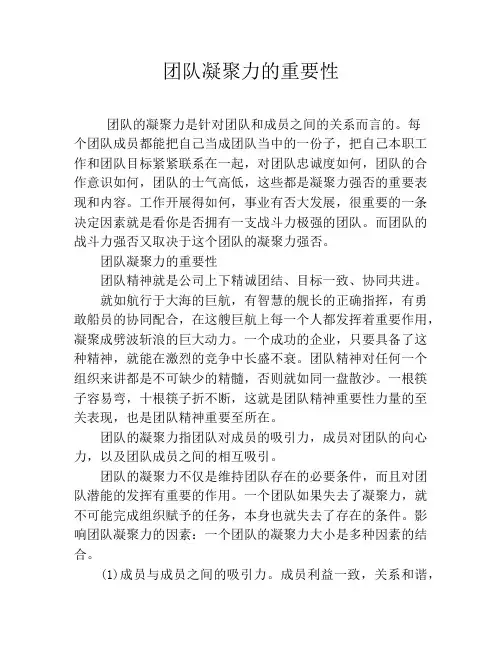团队凝聚力的重要性