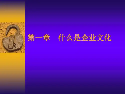 如何建设企业文化(ppt文档)