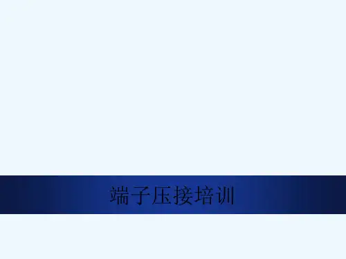 端子压接培训 PPT