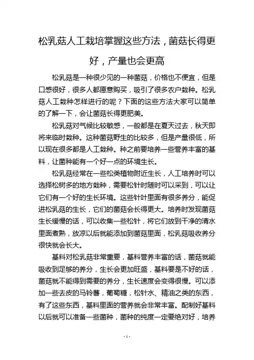 松乳菇人工栽培掌握这些方法,菌菇长得更好,产量也会更高