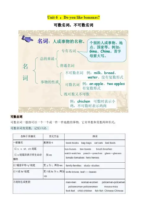 七上英语专题可数名词和不可数名词