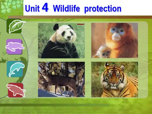 人教版高中英语 必修二 Unit4 《Wildlife protection ---Reading》