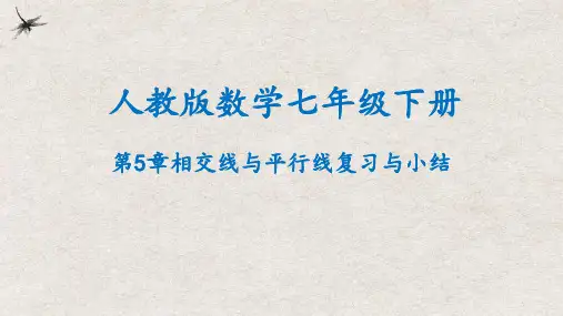 第5章 相交线与平行线 复习与小结  课件(共21张PPT)