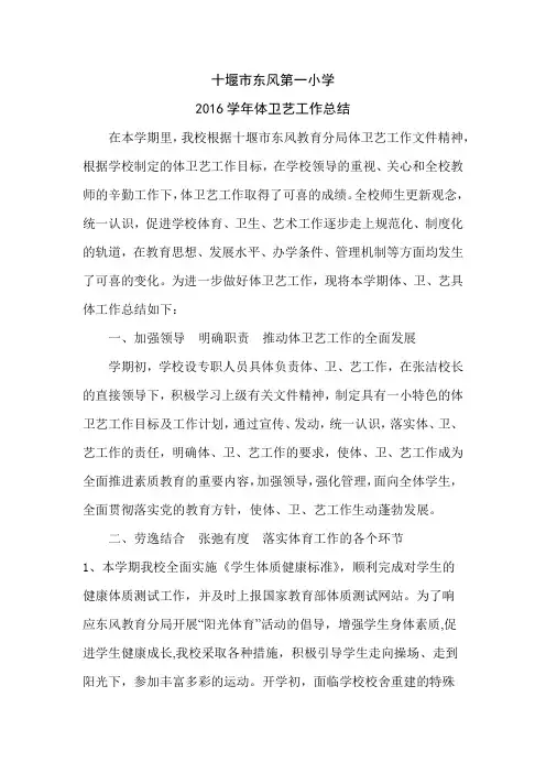 2016年度体卫艺总结
