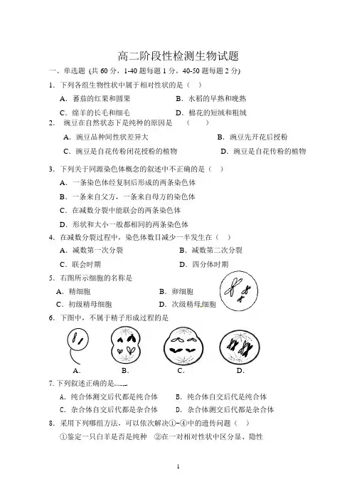 高二阶段性检测生物试题