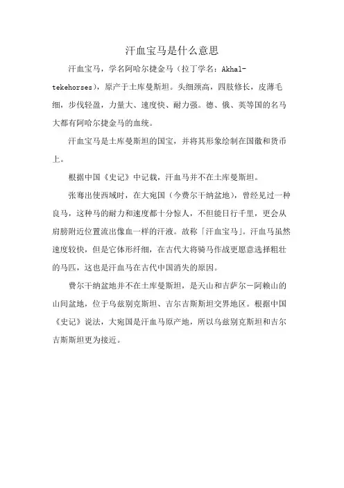汗血宝马是什么意思