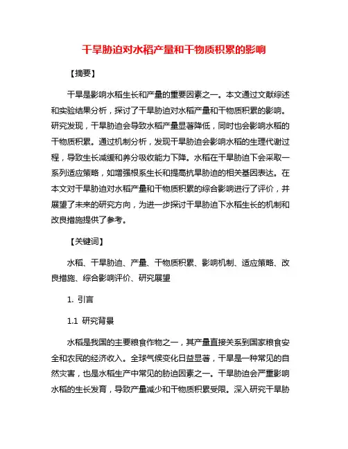 干旱胁迫对水稻产量和干物质积累的影响