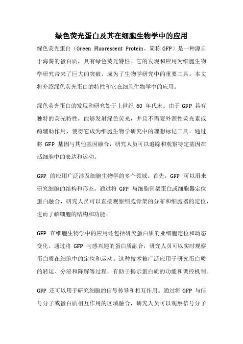 绿色荧光蛋白及其在细胞生物学中的应用