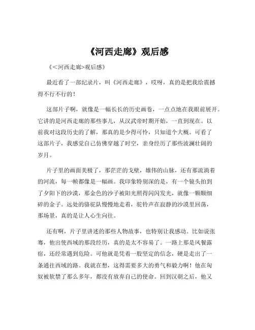 《河西走廊》观后感