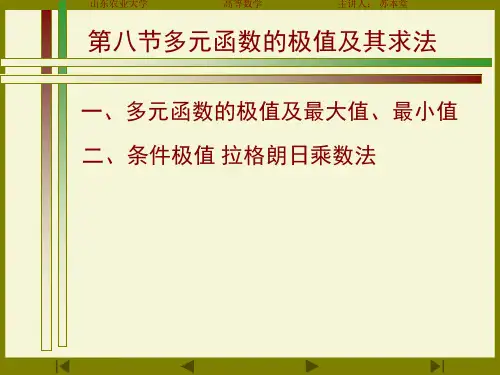 多元函数的极值及最大值【精品-PPT】