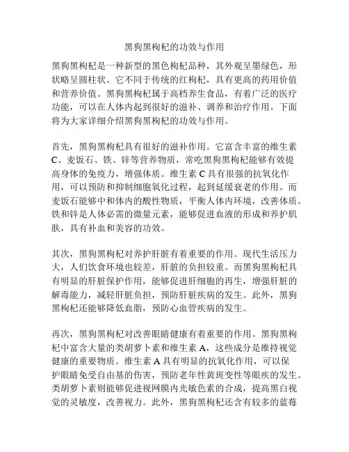 黑狗黑枸杞的功效与作用