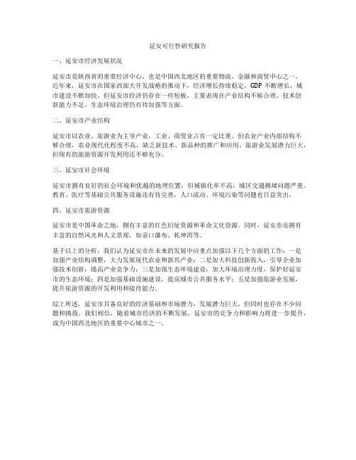 延安可行性研究报告