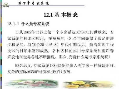 第12章专家系统