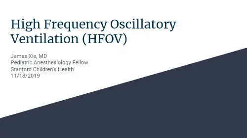 高频振荡通气（HFOV）说明书