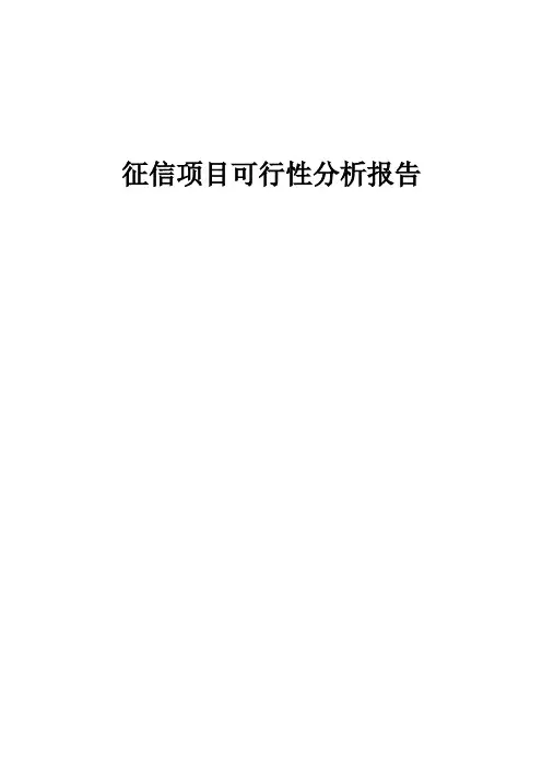 征信项目可行性分析报告