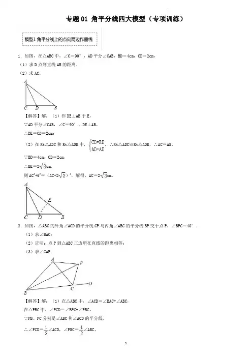 专题01  角平分线四大模型(专项训练)(老师版)