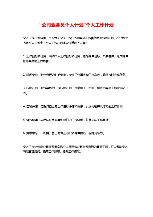 “公司业务员个人计划”个人工作计划