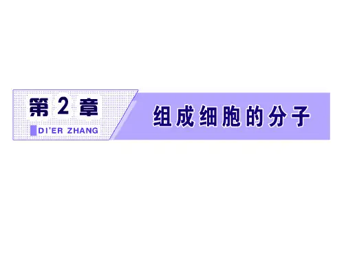 第4节  蛋白质是生命活动的主要承担者