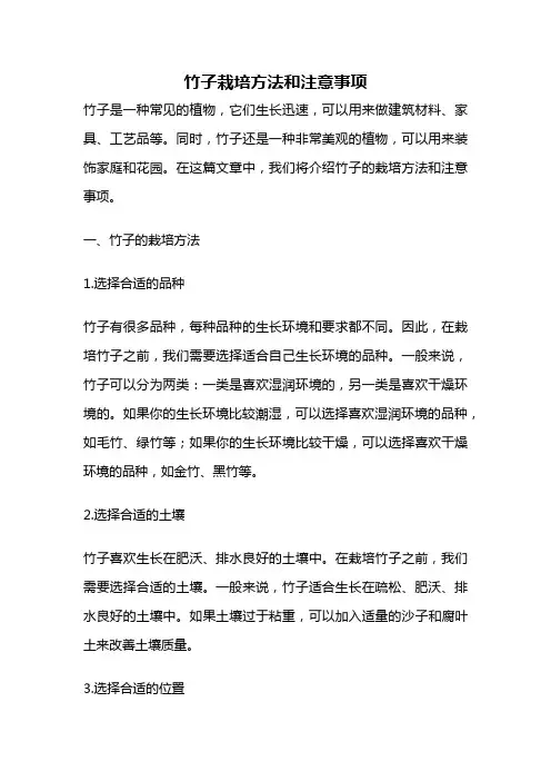 竹子栽培方法和注意事项