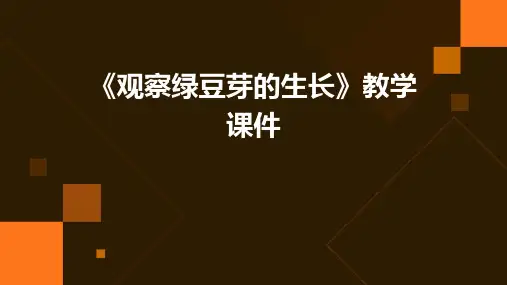 五年级上册科学3、《观察绿豆芽的生长》教学课件